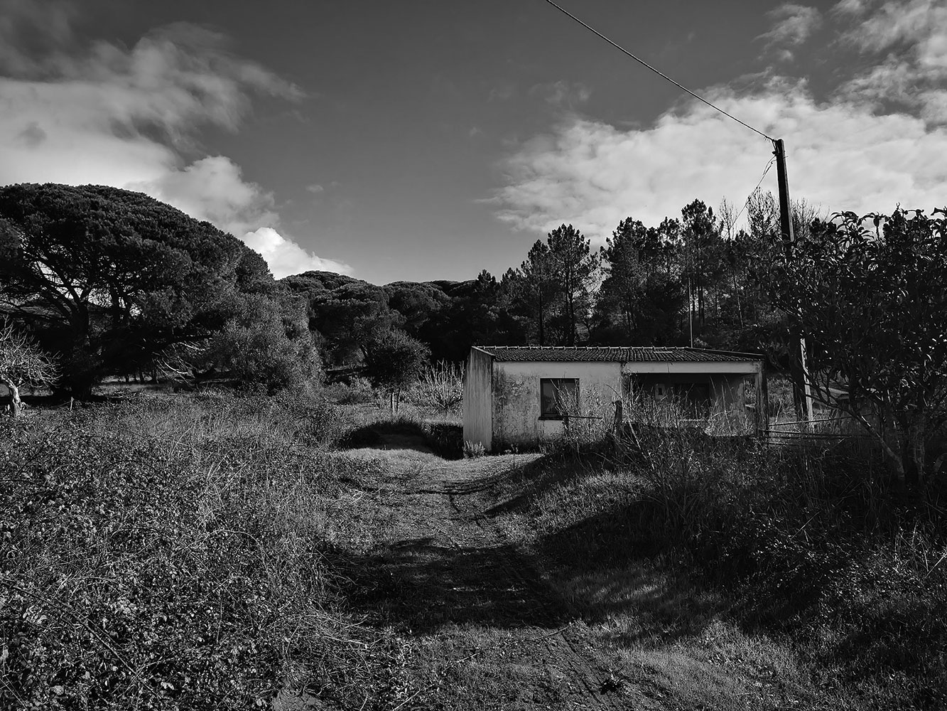 Work Description