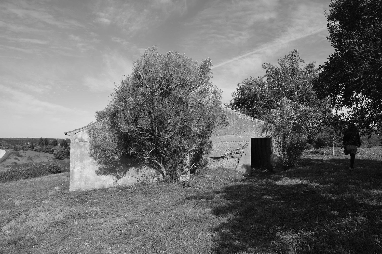 Image Description