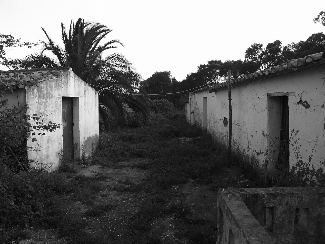 Image Description